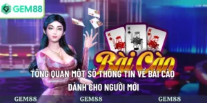 bài cào