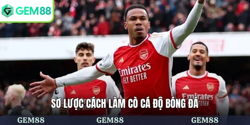 Cách làm cò cá độ bóng đá là gì