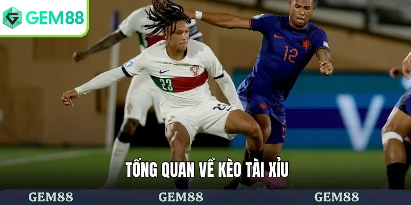 Giới thiệu về kèo tài xỉu