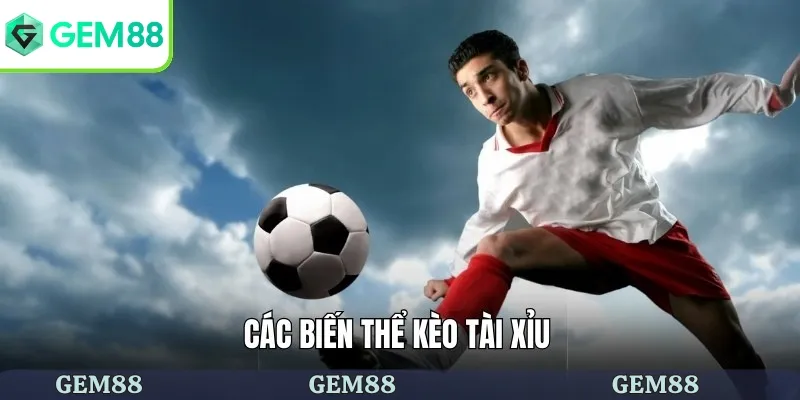 Những hình thức của kèo tài xỉu