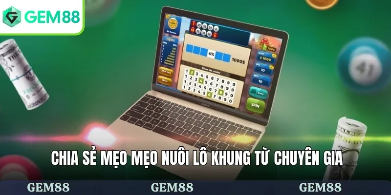 Chia sẻ mẹo mẹo nuôi lô khung từ chuyên gia