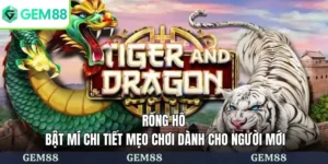 Rồng hổ